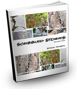 Scribbled Stories, Volume One by Shawn Hansen